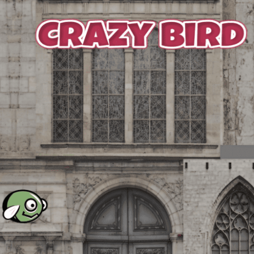 CrazyBird
