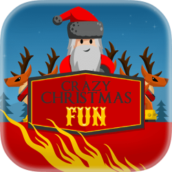 Crazy Christmas Fun